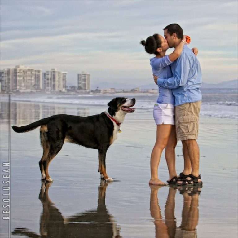 couples photographs